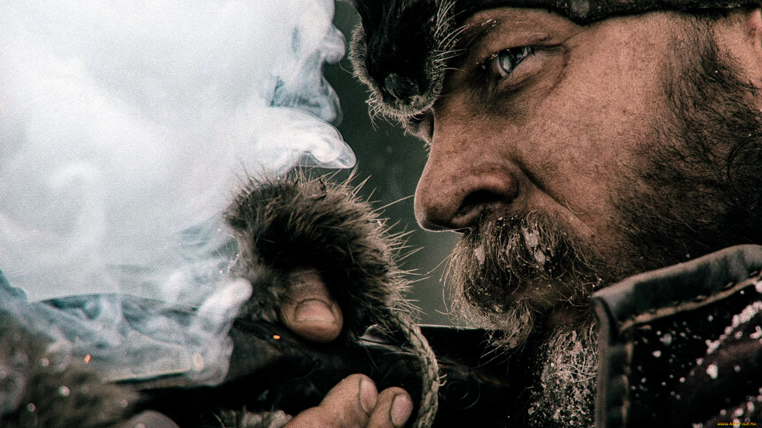  , the revenant, dicaprio, leonardo